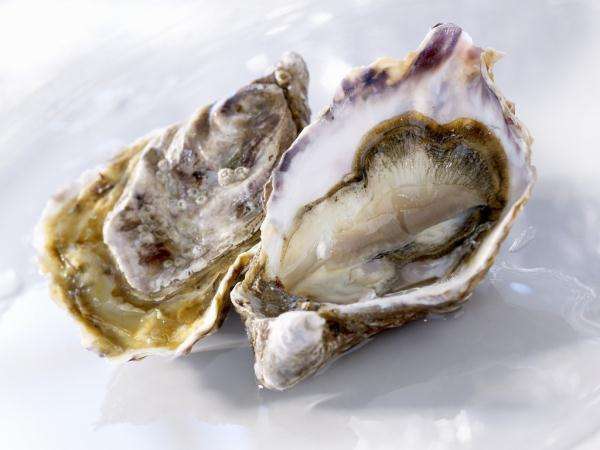 老中医先天之精,老中医说精子的储存时间