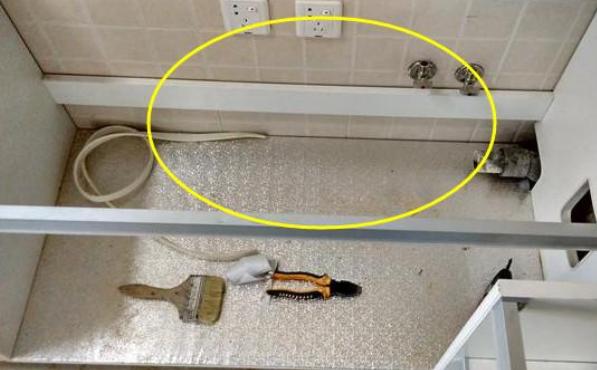 装修最不值得买的三种材料,十大装修材料选购避坑指南