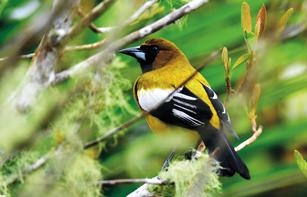 带你看看真实的牙买加,真实的牙买加