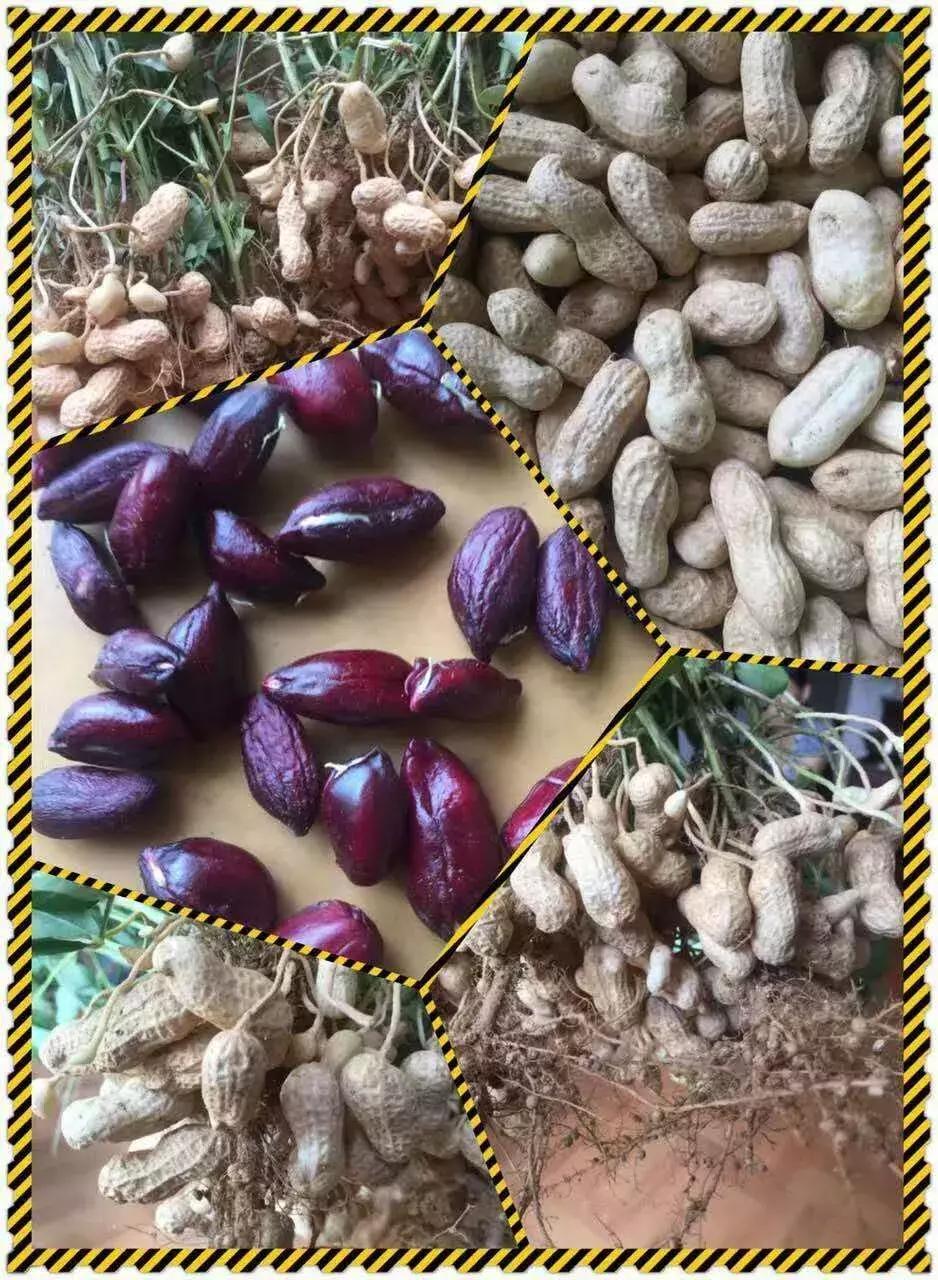 广德圣峰：如果你对田园生活向往已久，那么就请来这里吧！