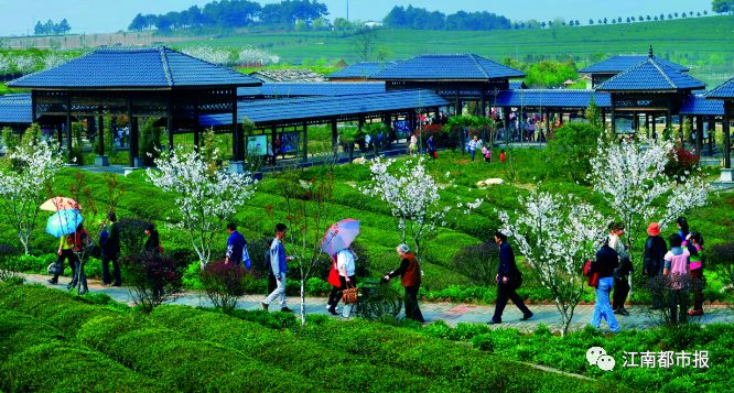 江西上饶入选百强市,上饶市国家级试点名单