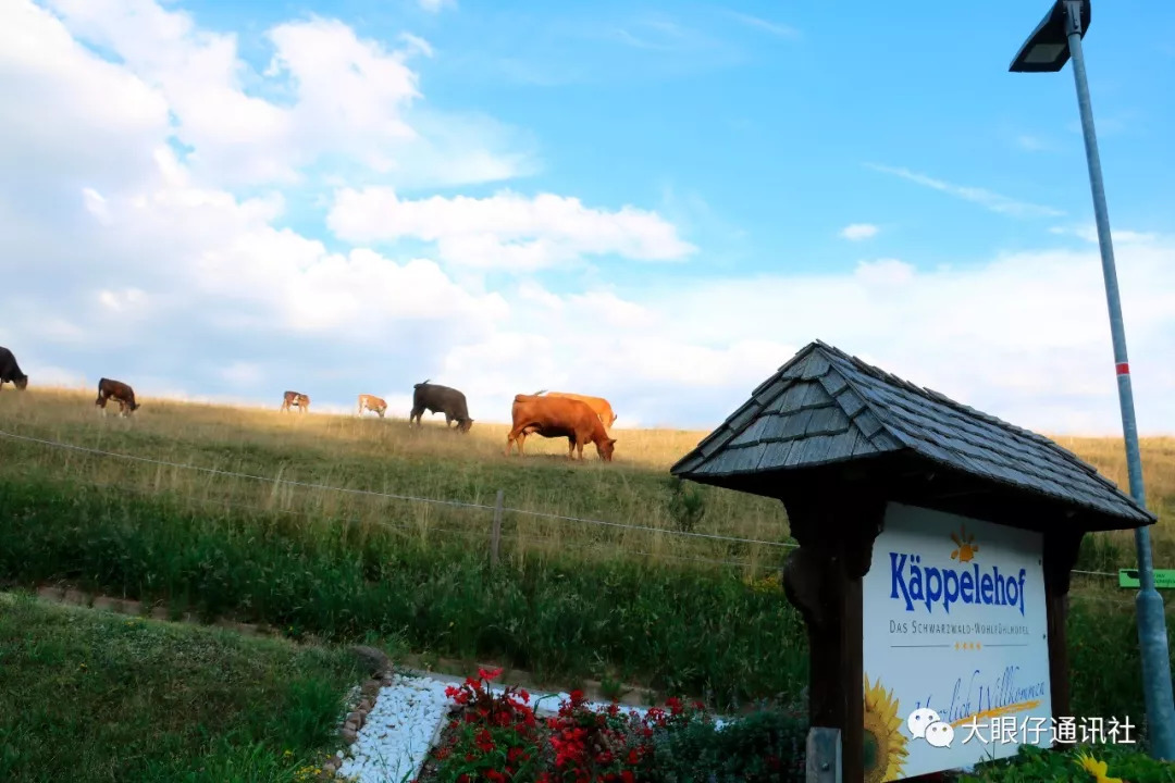 荣汉斯相当于什么档次,德国荣汉斯手表排名第几