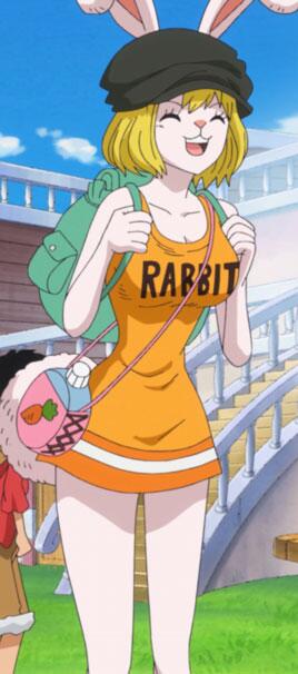 海贼王中八大美女，第一居然不是女帝