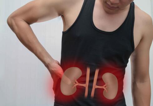 肾虚脱发跟脂溢性脱发有什么区别,怎么判断是肾虚脱发还是雄性脱发