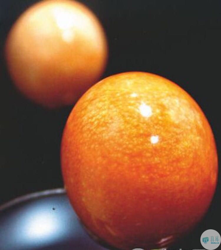 海螺珠美乐珠的区别,海螺珠和美乐珠哪个更珍贵