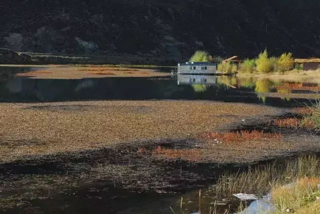 5条拉萨旅游线路全攻略，让你*藏西**旅游不迷路！