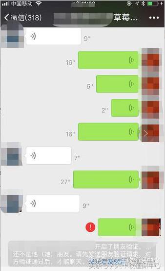 种草莓什么苗最好,种草莓是买种子好还是苗好