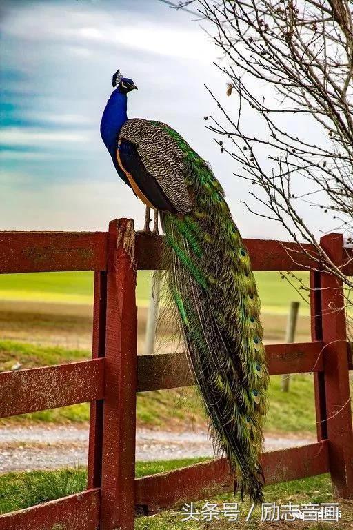 综合知识78集，赶紧保存，早晚用得上！