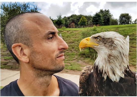 妖刀吉诺比利怎么了,吉诺比利脱发原因