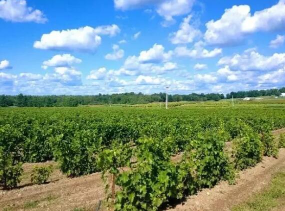 嘉峪关门票对教师优惠政策,嘉峪关市教师节旅游优惠政策