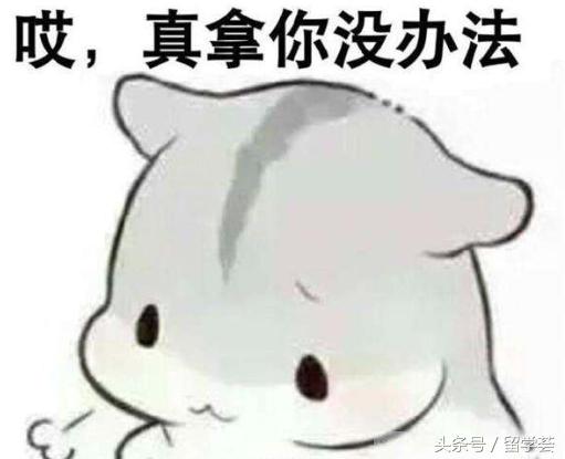 凯斯西储大学的历史排名,世界知名学府凯斯西储大学