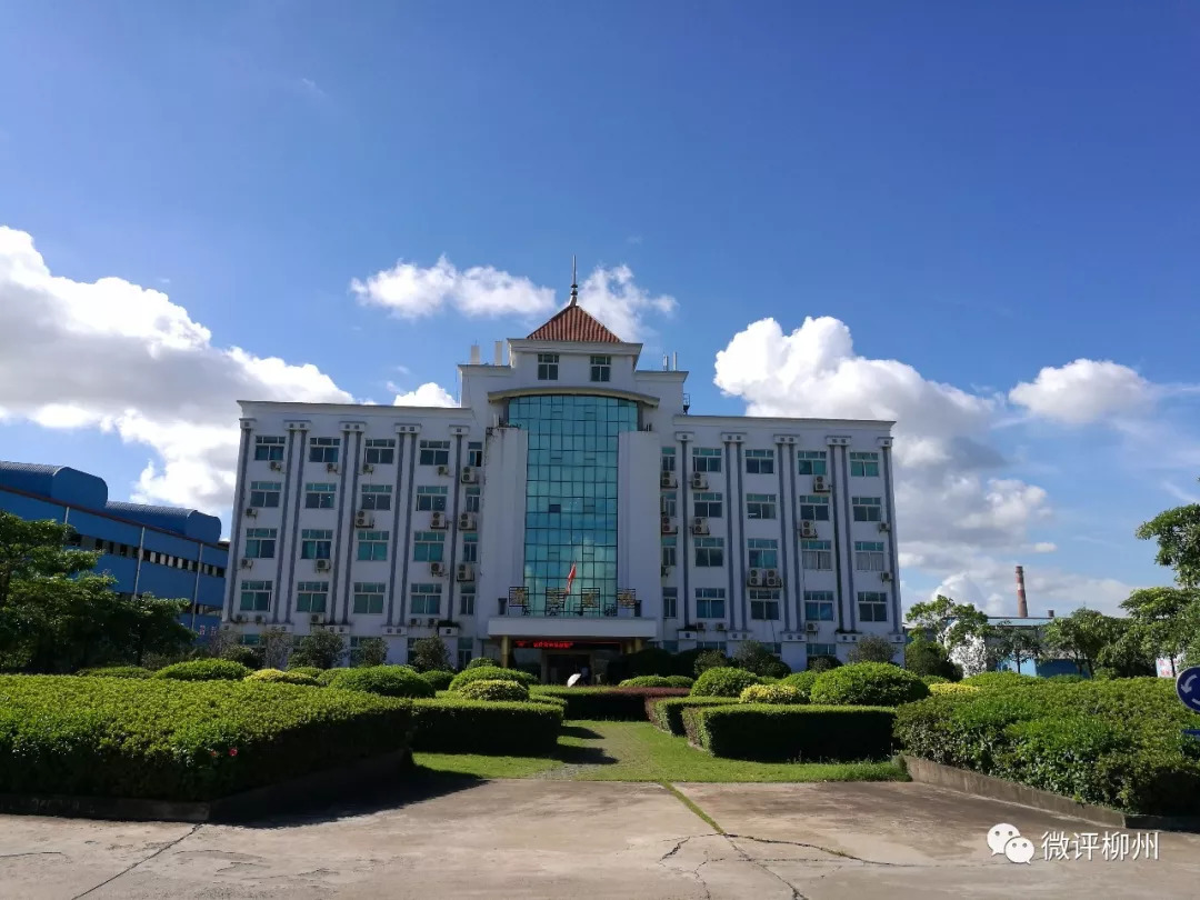 柳州50强民企,柳州市全国500强企业