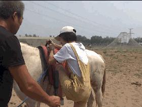平遥丰胜村旅游,平遥洪善盛丰垂钓园