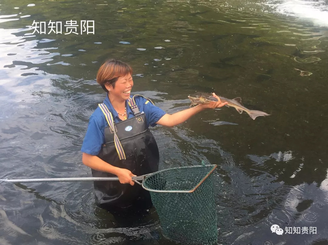 姊靛噣灞辩湅鍒版按涓椿鍖栫煶,鐭ョ煡璐靛窞