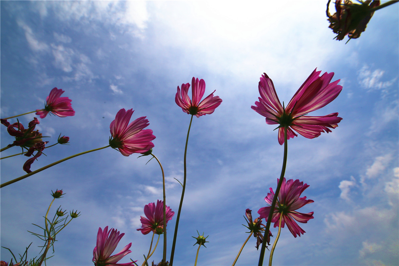 黄龙最新旅游攻略,黄龙一月旅游攻略图