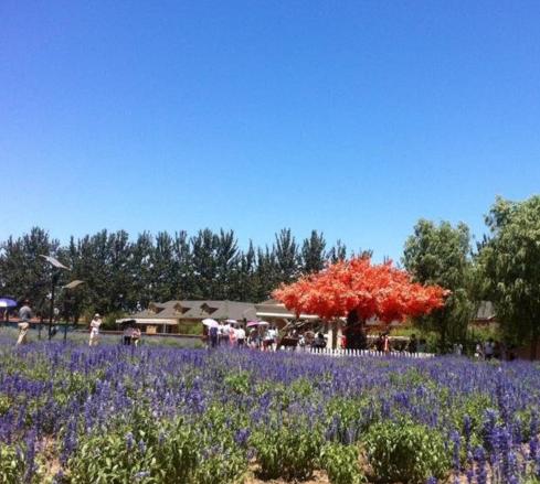 钃濊皟搴勫洯鍦板潃鍖椾含,钃濊皟搴勫洯
