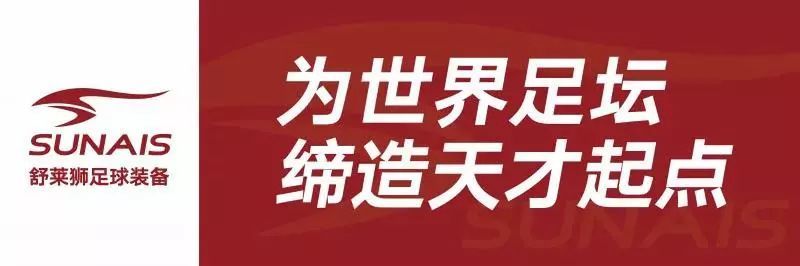 舒莱狮护小腿袜子,舒莱狮防菌袜怎么样