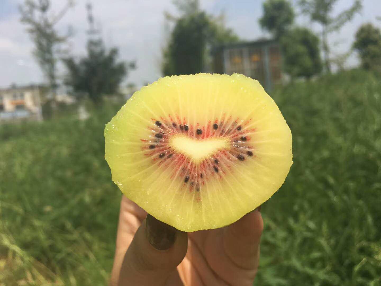 成都蒲江农业小萌新高情商赢得C位出道