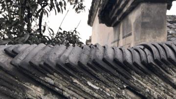 老街承载的记忆,老街时光的印记