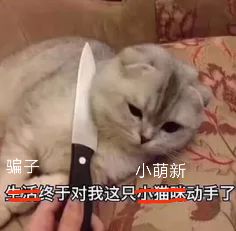 寒假防骗指南科普大学生,团团提醒