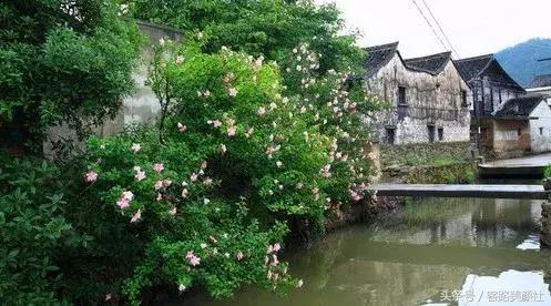 宁波老街坊,宁波市区老街