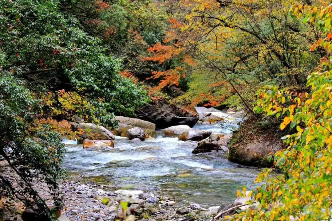 四川秋景第一名,四川欣赏秋景好去处