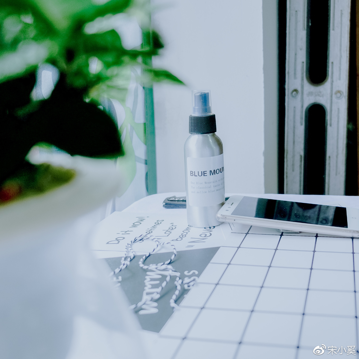 家庭版静物摄影,静物拍摄校园