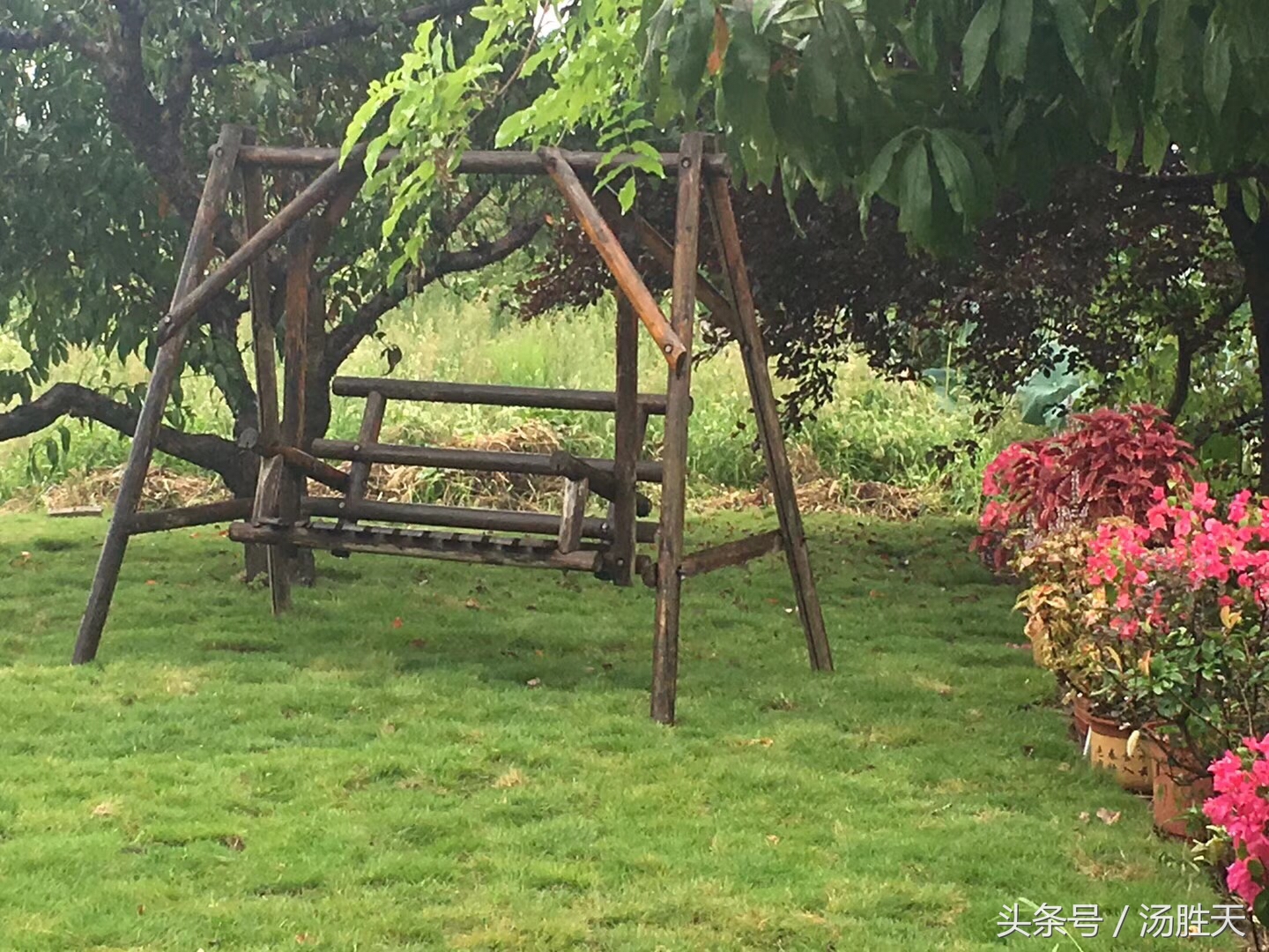 格物与齐物,格物正解通俗讲解