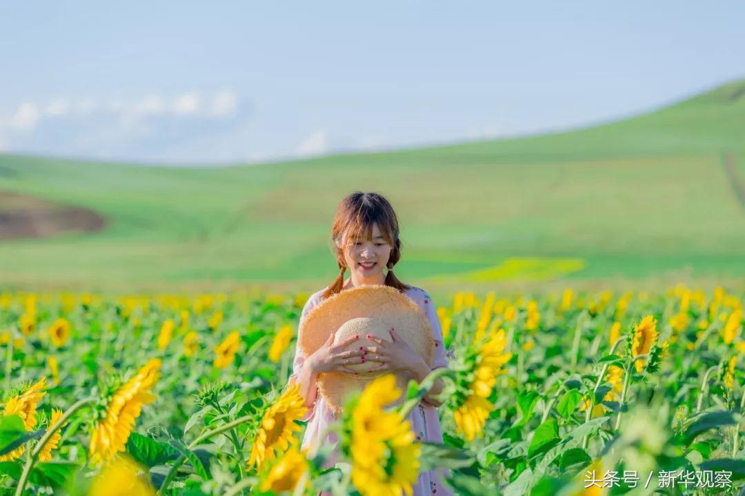 夏天大草原旅行 (夏天旅行大草原)