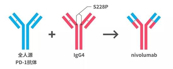 非小细胞肺癌一线推荐用药,非小细胞肺癌最新靶向药物