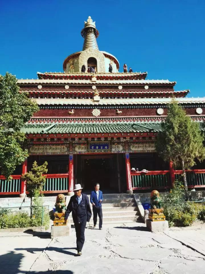 拉卜楞寺喇嘛居然能讲一口流利的英语桑科草原跑马收费陷阱多