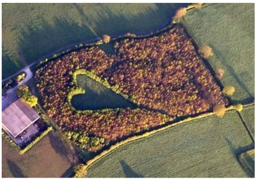 谷歌地球拍到的神秘照片,谷歌地球拍到的神秘影像