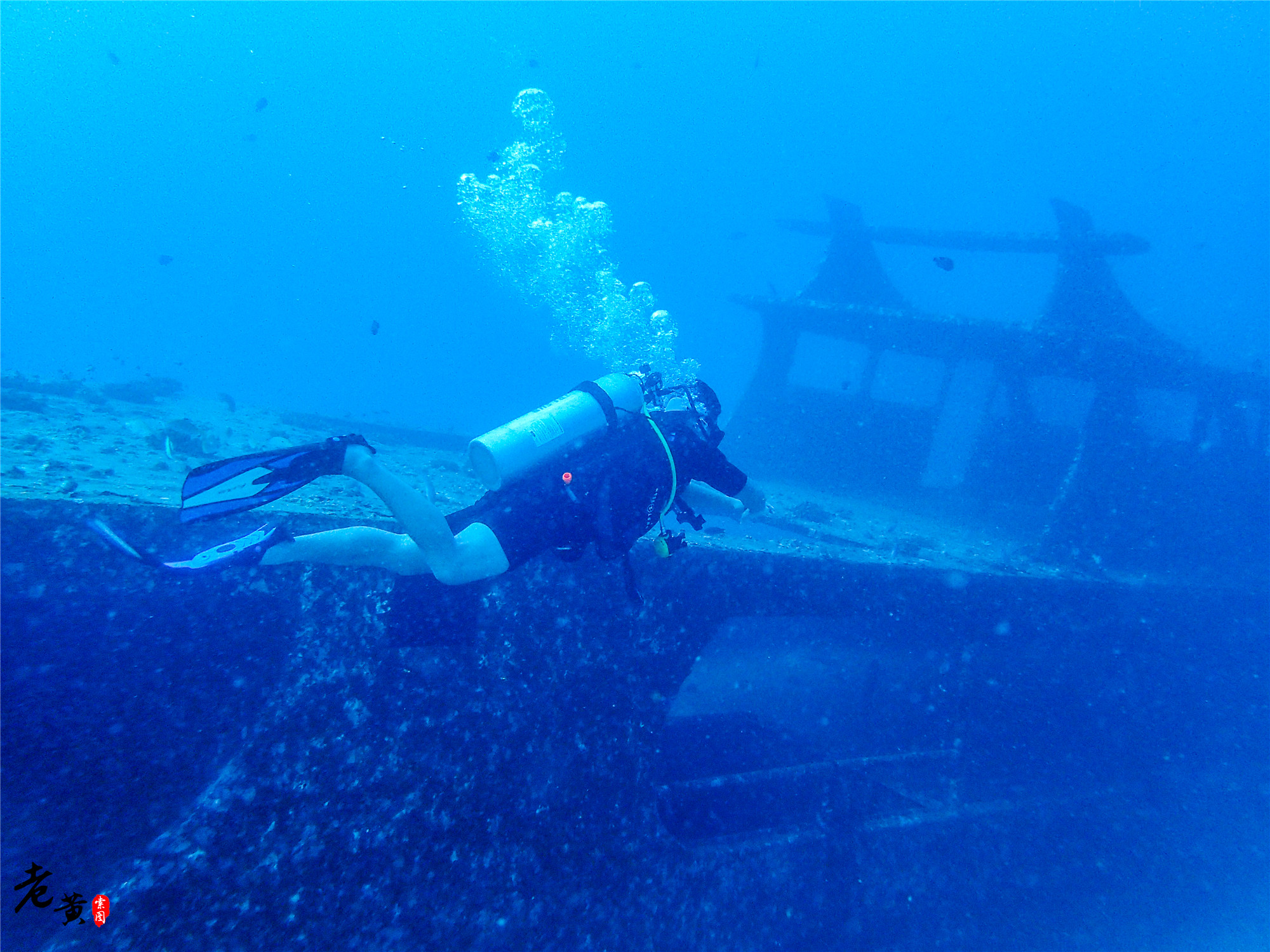 普吉岛深潜在哪里能遇到鱼群风暴,泰国大小皇帝岛潜水