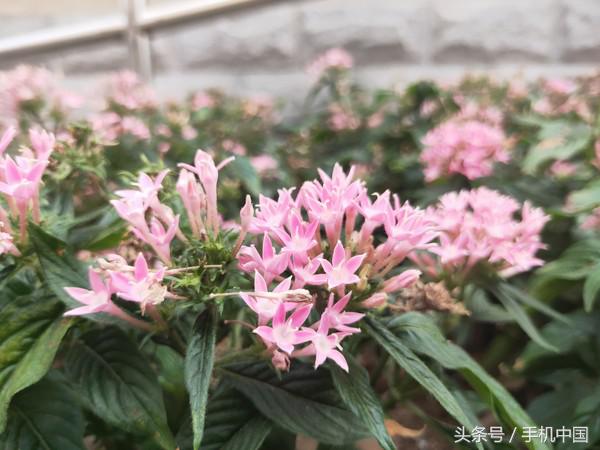 opporeno和r17哪个好,oppor17现在还值得买吗