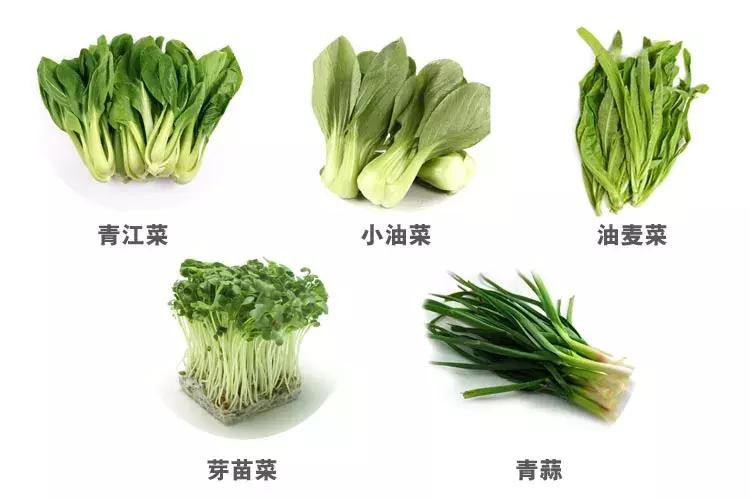 打造小菜园怎么种菜好看,自制阳台立体小菜园