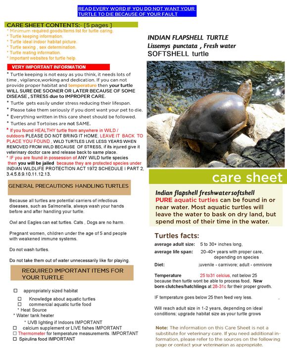 科普龟类知识视频展示,所有龟鳖类动物