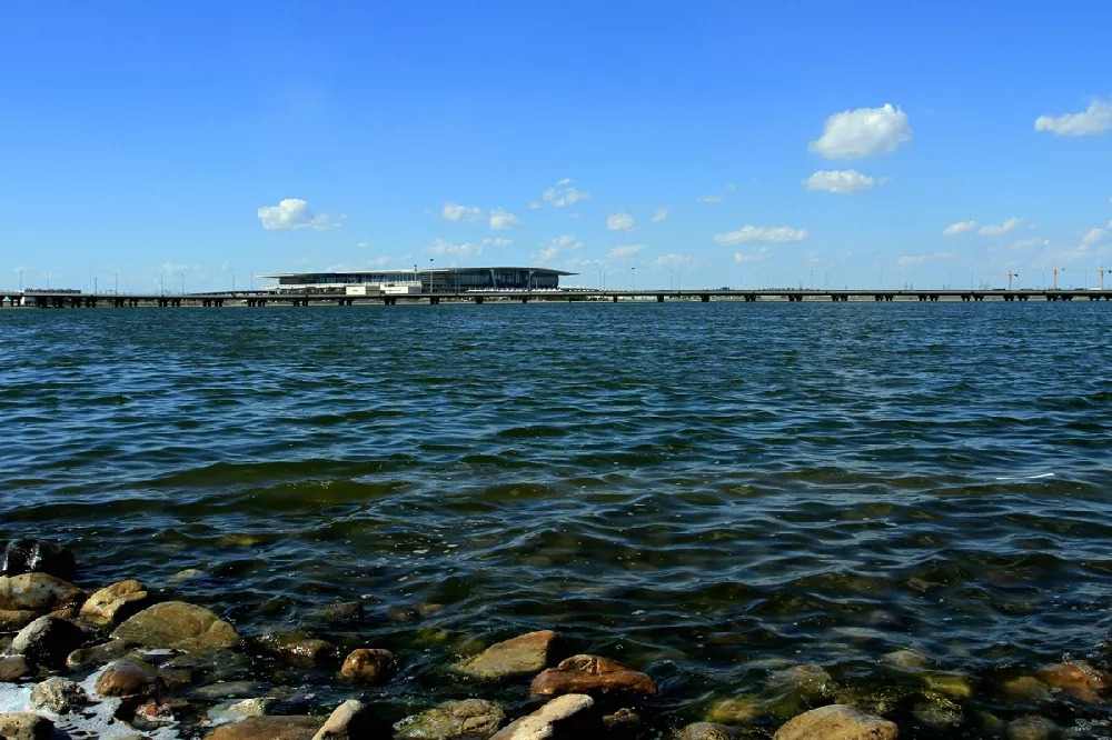 祝贺我市入选全国文明城市,武清区表彰先进个人和集体