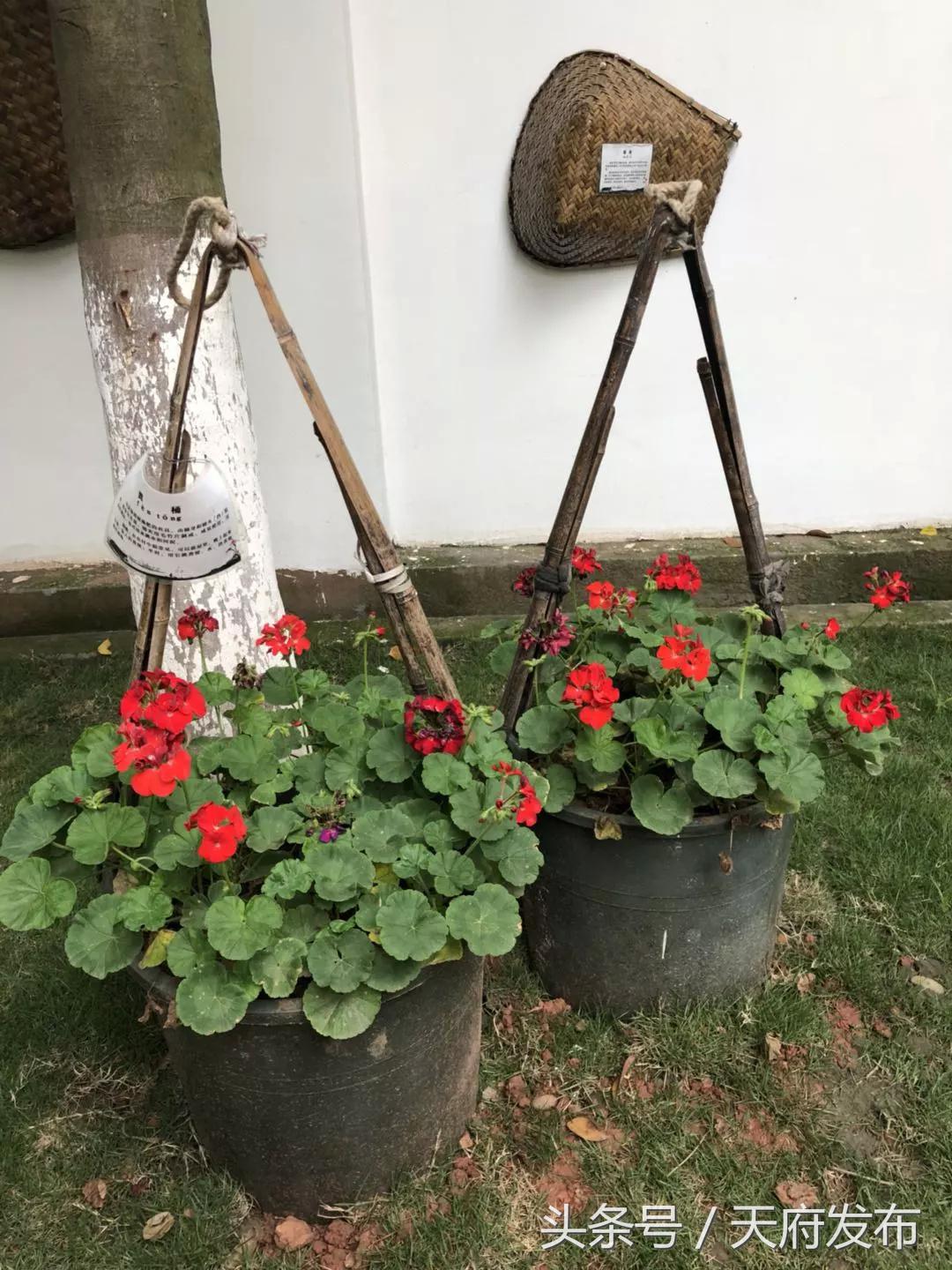 升级服务！万安街道创新探索社区治理新路径，提升居民幸福感