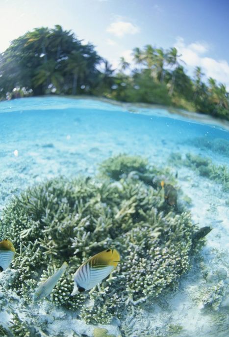 又挖到一个小众旅游的宝地美到哭,又挖到一座小众绝美海岛