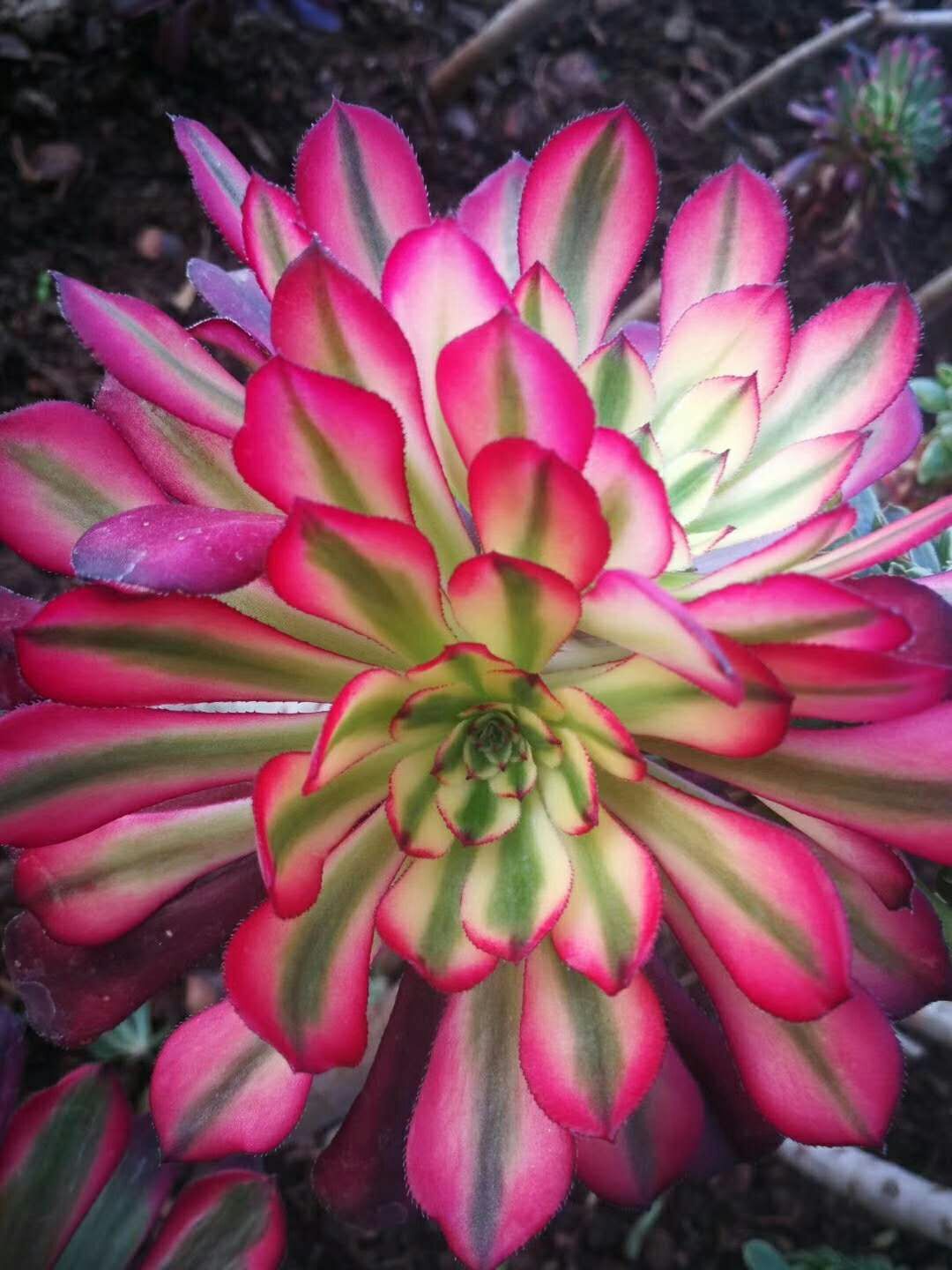 《慢生活·轻阅读》1356期