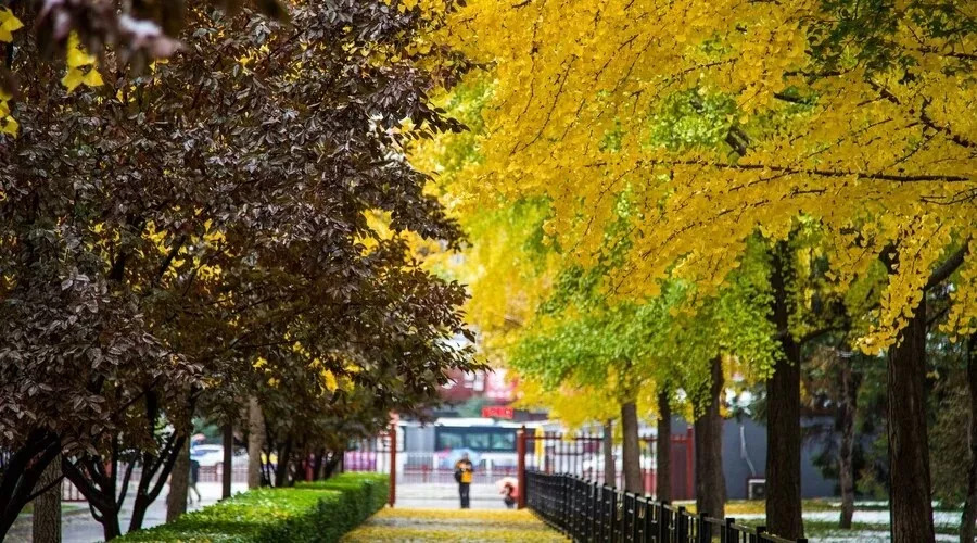 离别的故事经典歌曲,离别的故事原唱完整版