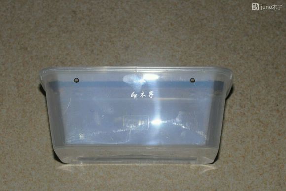 草龟繁殖经验分享孵蛋40天破壳,草龟孵化及幼龟养殖