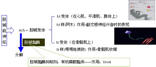 闻农药轻微中毒有什么症状,打农药中毒什么症状挂什么科室