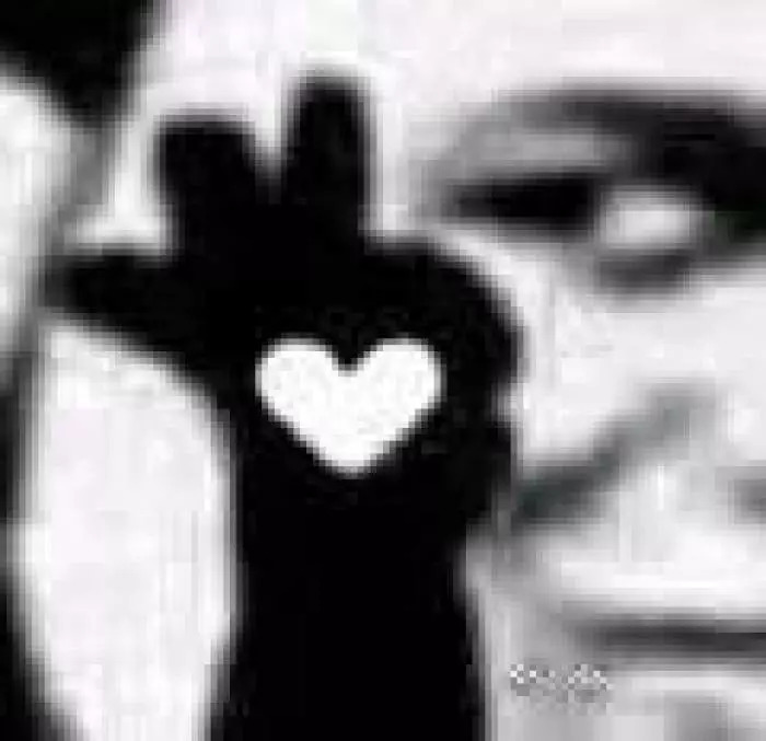 万事屋推荐|十二星座,这里有一份待查收的粉色包裹