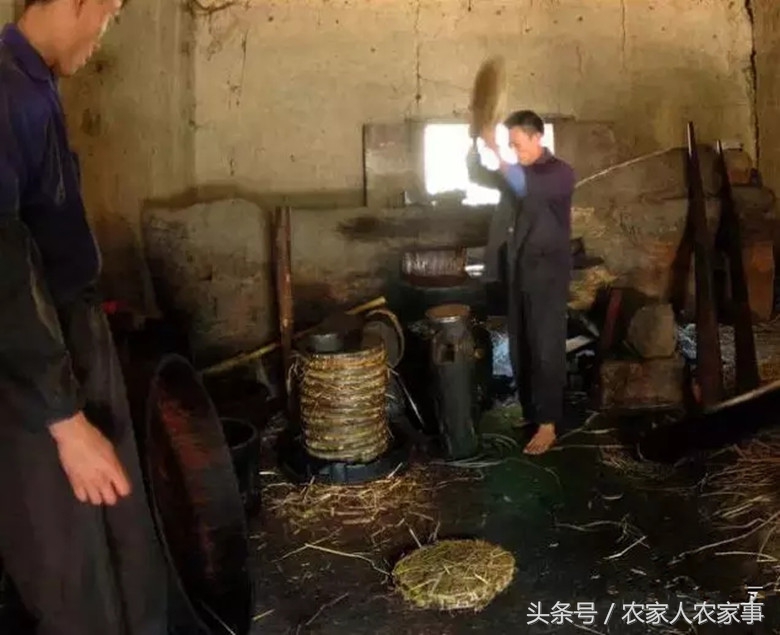 探访赣南传统手工榨‘’木梓油‘’（茶油）的工艺流程