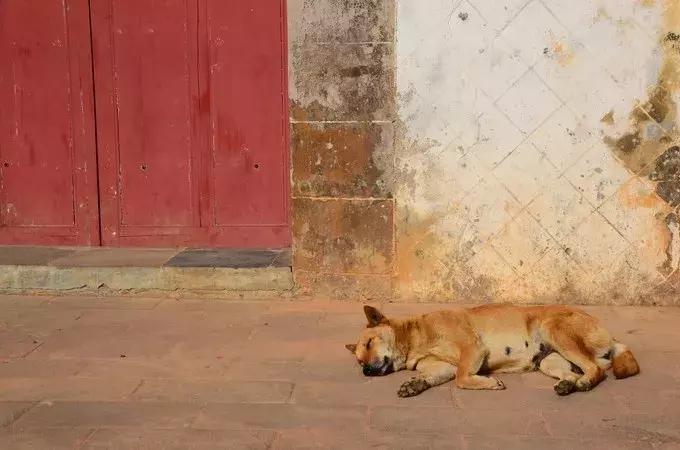 北海涠洲岛值得去的景点,涠洲岛天堂