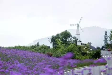 鍥涘窛楂橀搧鐩磋揪宸濊タ鏃呮父鏅偣,鎴愰兘2.5灏忔椂鐩磋揪鍘熷妫灄