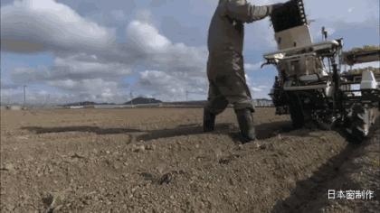 日本农民怎么种地,老农种地真容易
