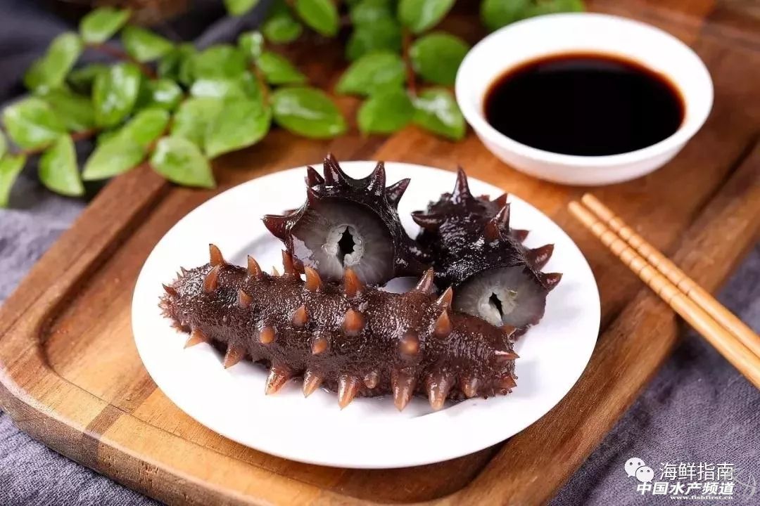 海参价格大跌原因,海参价格大跌吗