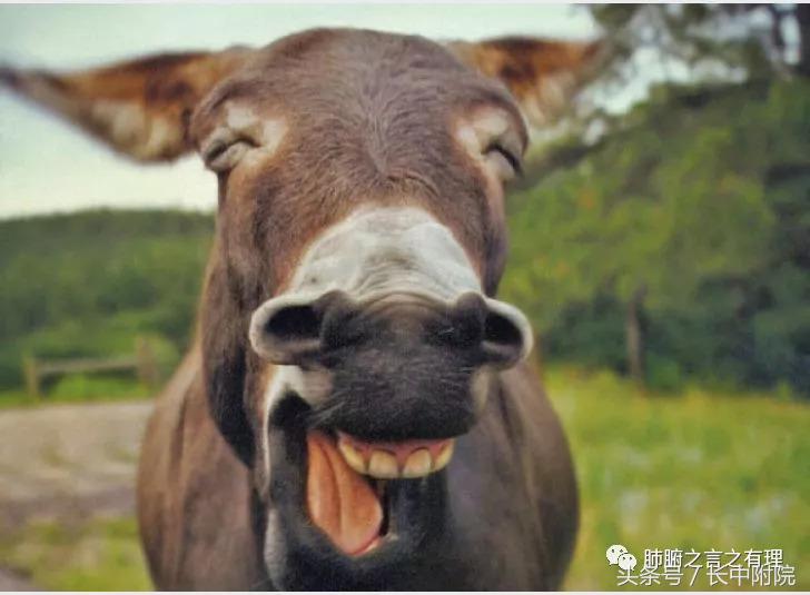 秋季养肺润肺的最佳方法,肺病患者怎么护理